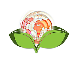 2024年中国各省份碳相关投资分析：区域差异与未来趋势