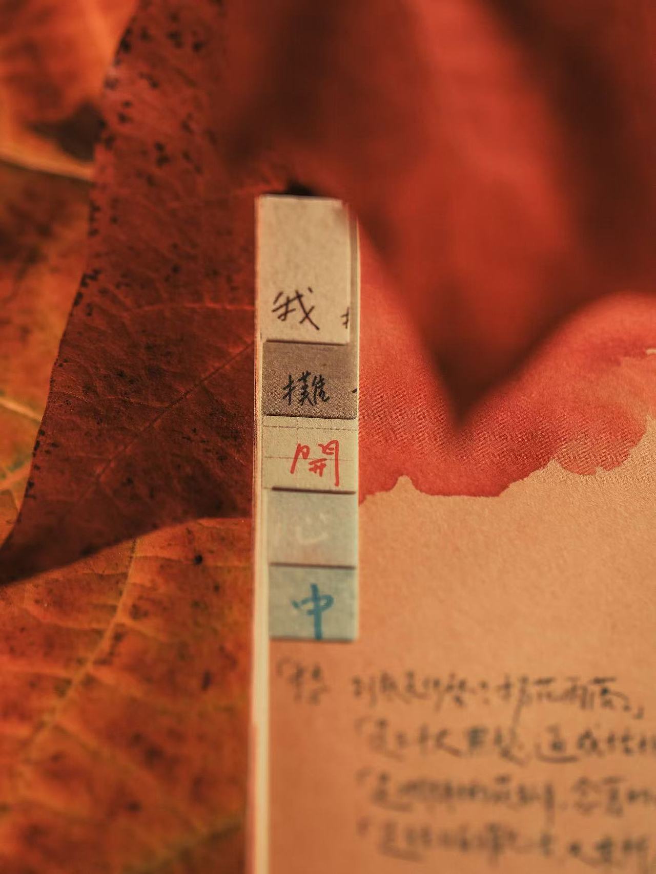 苏打绿《秋：故事》开箱照