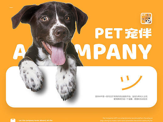宠伴/宠物app｜IP设计｜UI设计