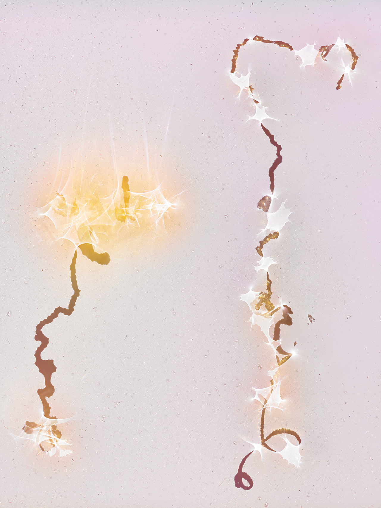 唯有光（拾壹）（图ZMzgyMDQyNDQ4） - 其他摄影 - 站酷设计师禅宗喝水原创素材 - 站酷ZCOOL