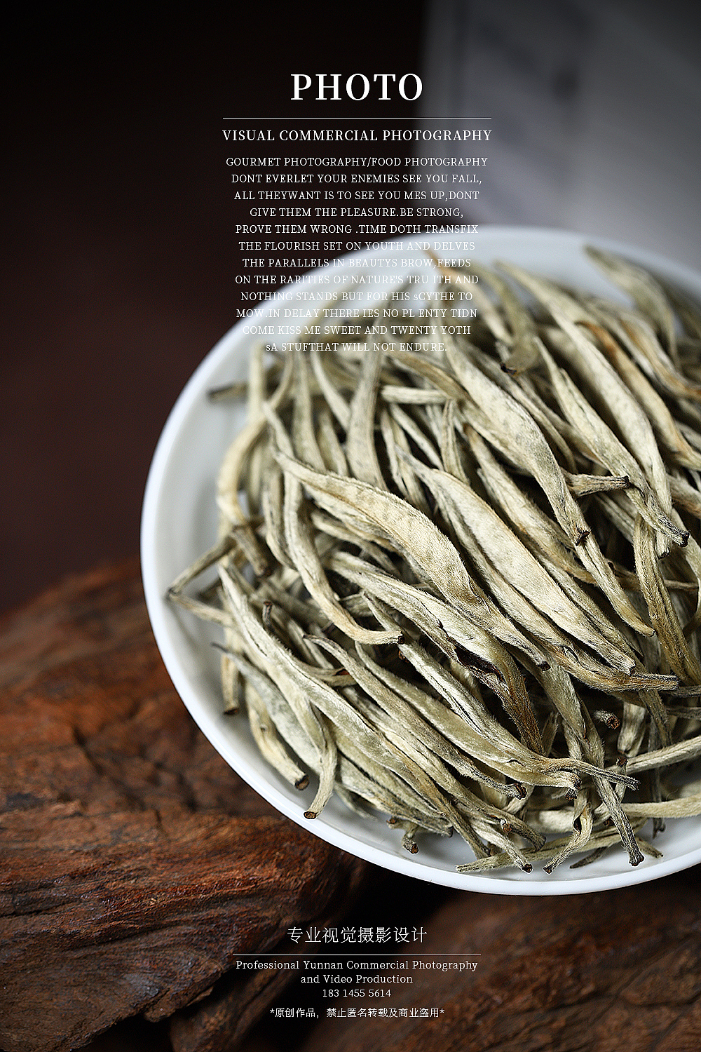 云南古树白茶拍摄