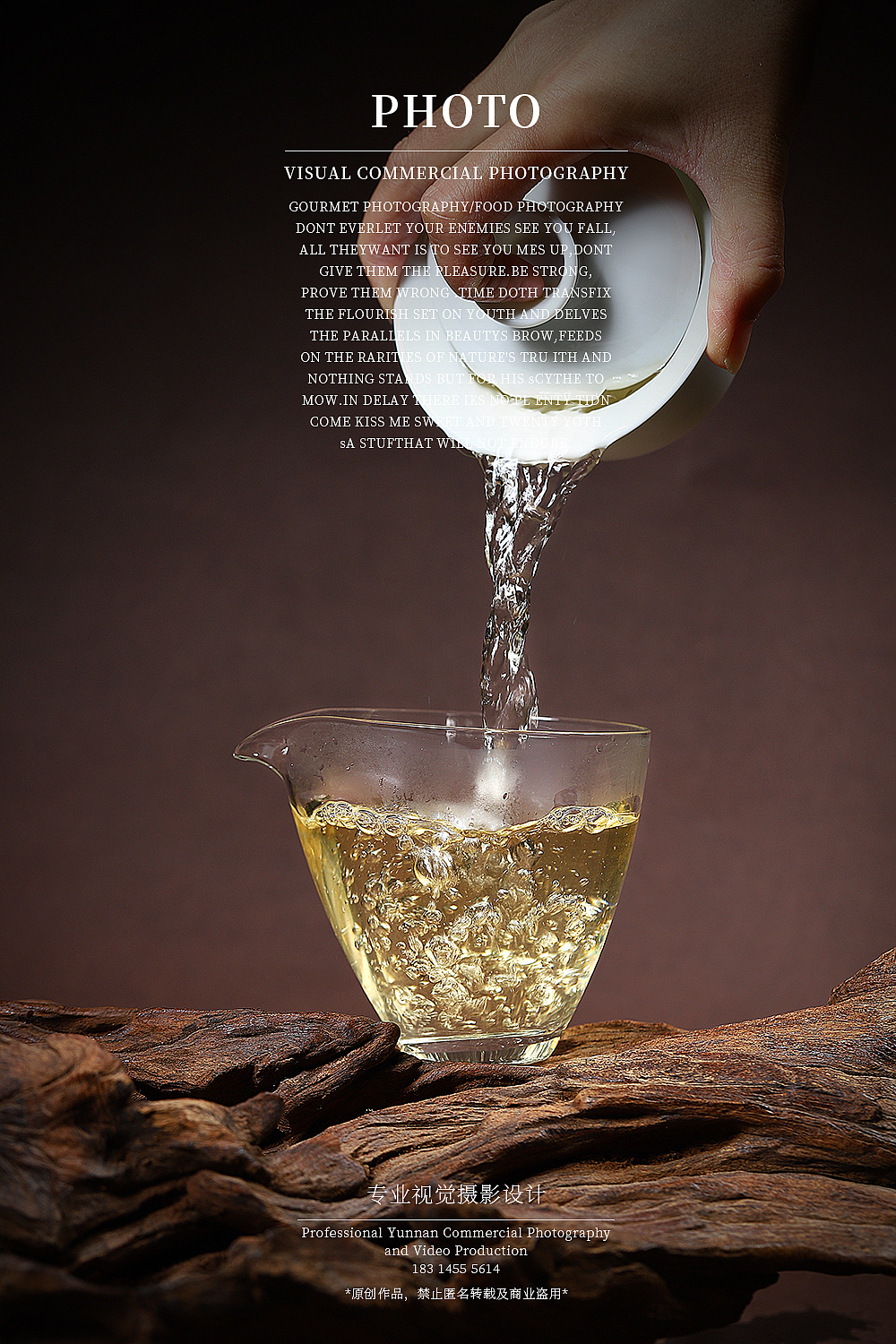 云南古树白茶拍摄