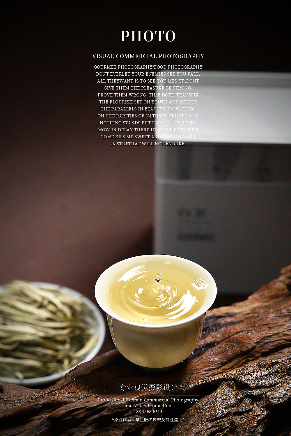 云南古树白茶拍摄