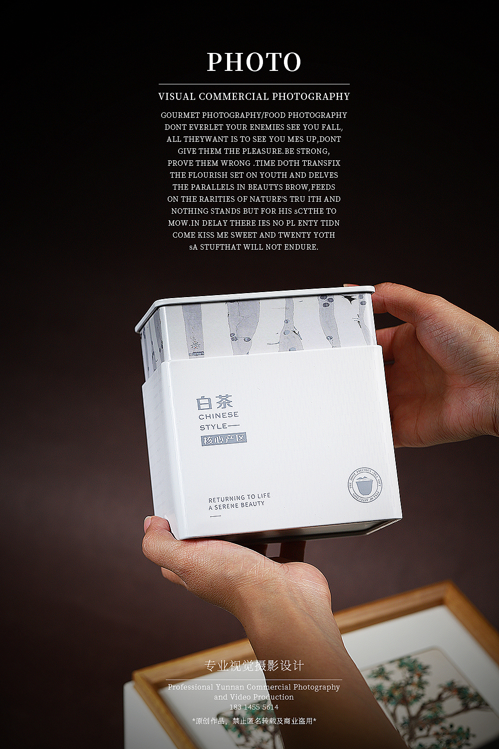 云南古树白茶拍摄