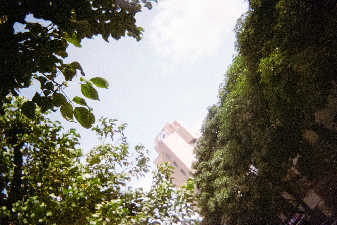 柯达一次性相机·彩色·胶片·改装拍摄（图ZMzgyMDUyNDI0） - 人文/纪实摄影 - 站酷设计师亮晶晶的阿姨原创素材 - 站酷ZCOOL