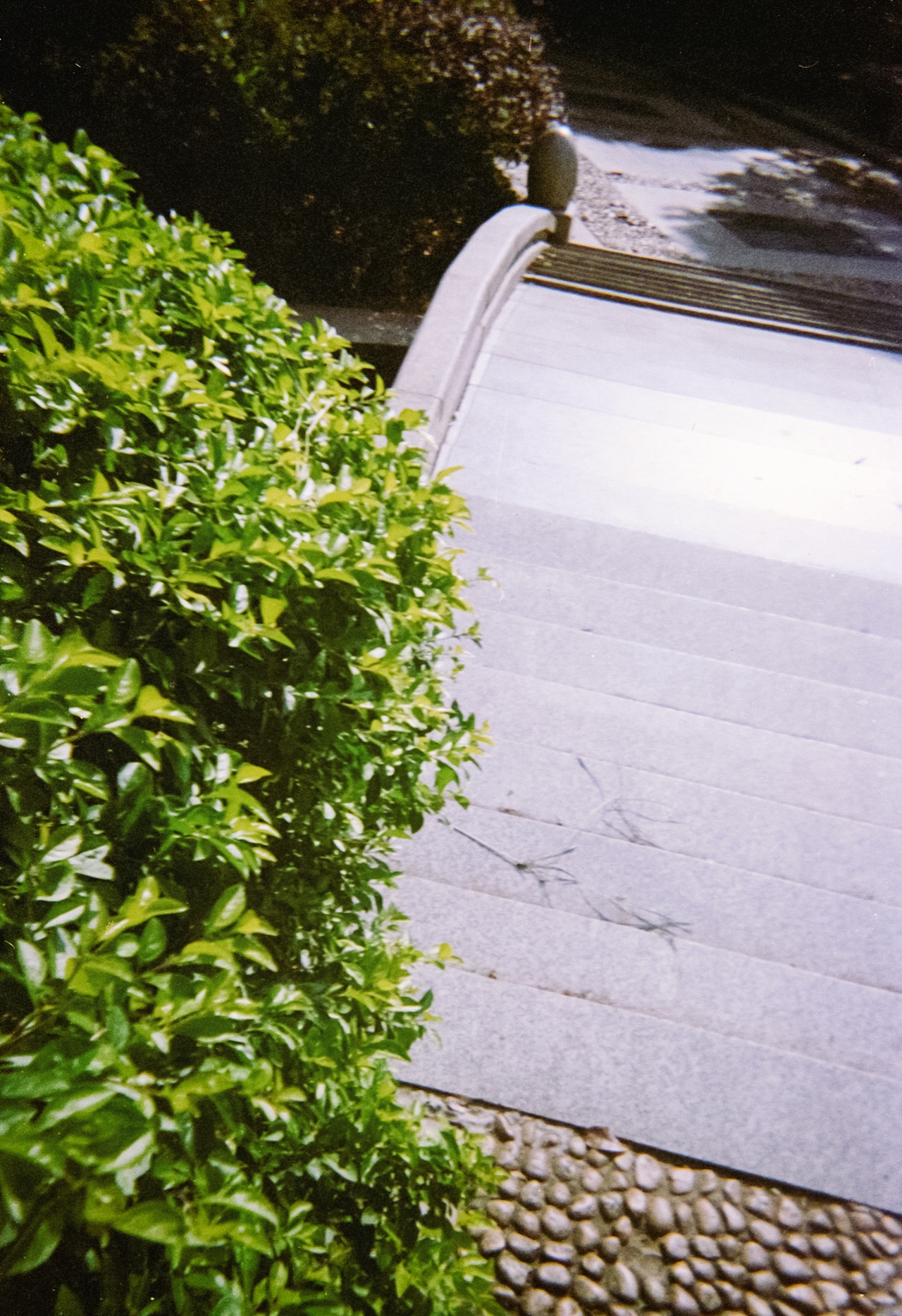 柯达一次性相机·彩色·胶片·改装拍摄（图ZMzgyMDUyNDYw） - 人文/纪实摄影 - 站酷设计师亮晶晶的阿姨原创素材 - 站酷ZCOOL