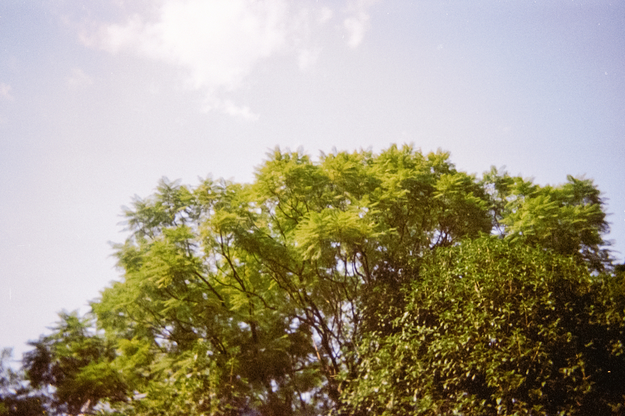 柯达一次性相机·彩色·胶片·改装拍摄（图ZMzgyMDUyNDgw） - 人文/纪实摄影 - 站酷设计师亮晶晶的阿姨原创素材 - 站酷ZCOOL