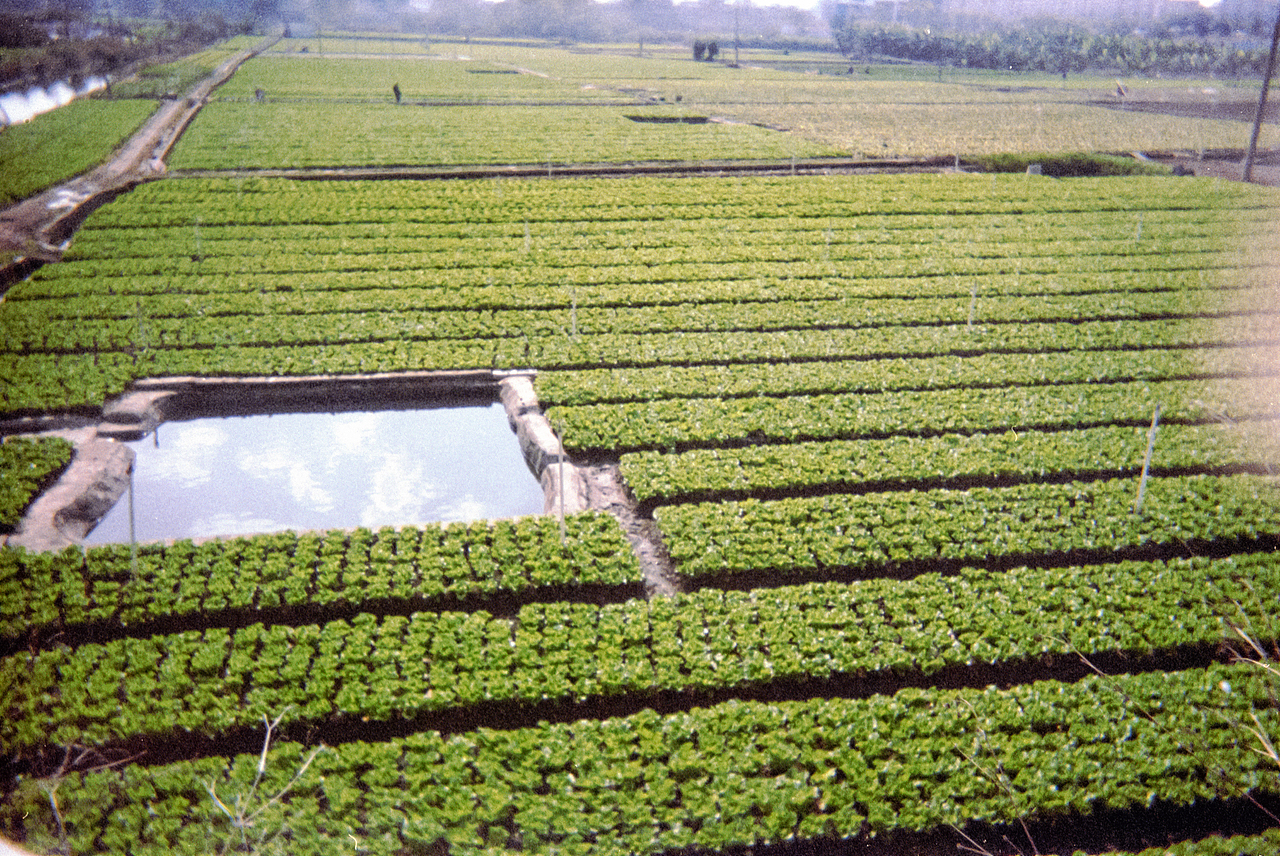 柯达一次性相机·彩色·胶片·改装拍摄（图ZMzgyMDUyNTEy） - 人文/纪实摄影 - 站酷设计师亮晶晶的阿姨原创素材 - 站酷ZCOOL