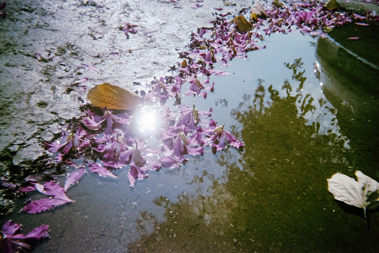 柯达一次性相机·彩色·胶片·改装拍摄（图ZMzgyMDUyNTI0） - 人文/纪实摄影 - 站酷设计师亮晶晶的阿姨原创素材 - 站酷ZCOOL