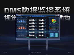 DMS数据监控系统视觉重构