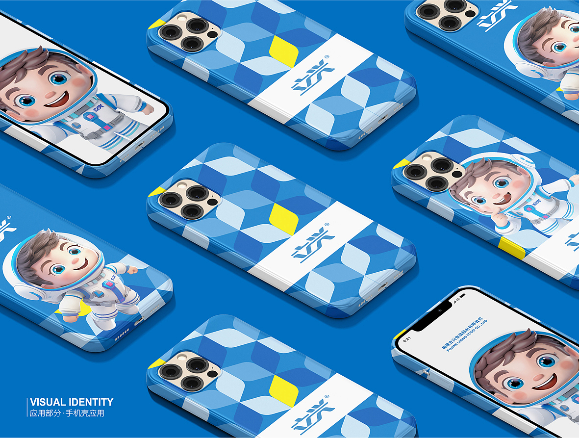 大天朝品牌策划——“100万”策划费打造立兴航天梦