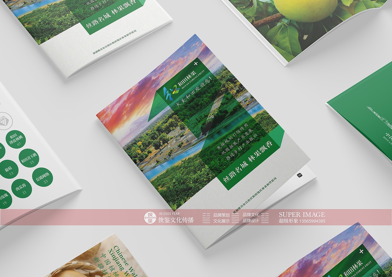 和田林果推广画册（图ZMzgyMTExNTAw） - 书籍/画册 - 站酷设计师俊鉴原创素材 - 站酷ZCOOL