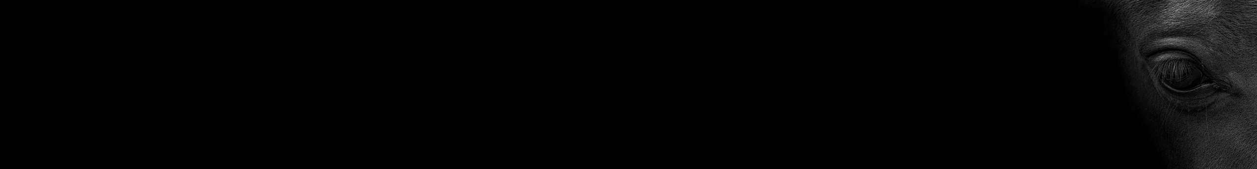 搖頭的驢的個人主頁（封面預(yù)覽） - 主頁封面設(shè)置 - 站酷設(shè)計師搖頭的驢原創(chuàng)素材 - 站酷ZCOOL