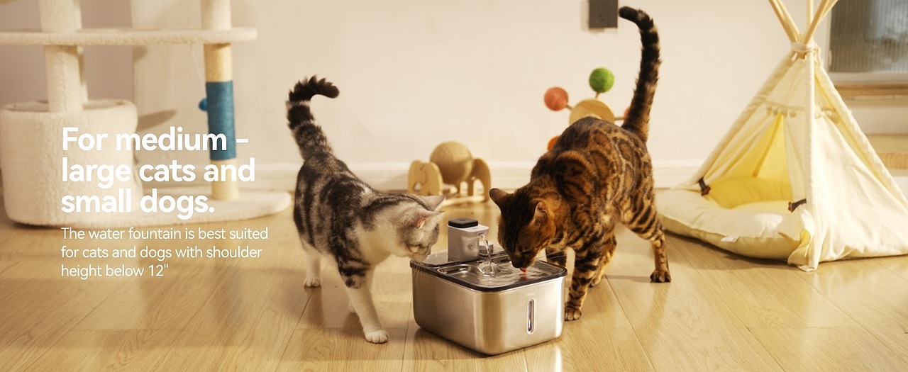 Qinliy 跨境宠物饮水机