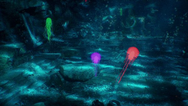 寻迹深蓝:解锁失落的海底遗迹密码