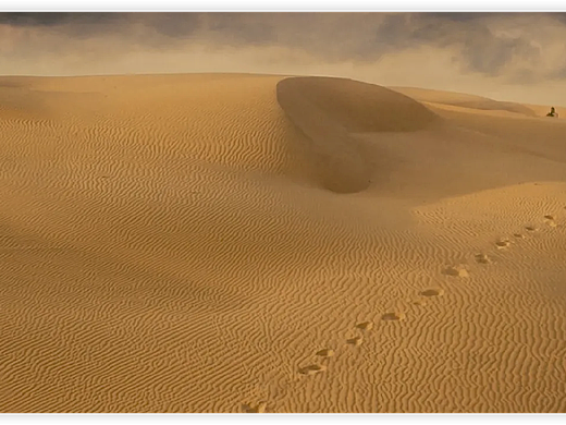 科技向善:人類心理醫(yī)學(xué)注意事項(xiàng)(個(gè)人主頁-ZNzA5NzQzMDg=) - 繪畫 - 站酷設(shè)計(jì)師安史之亂1997原創(chuàng)素材 - 站酷ZCOOL