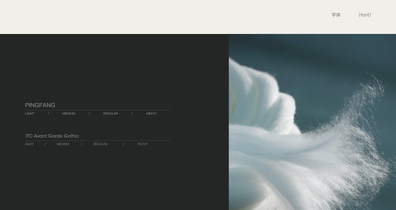 柏力图男士内衣品牌全案设计 | 标志/VI/包装