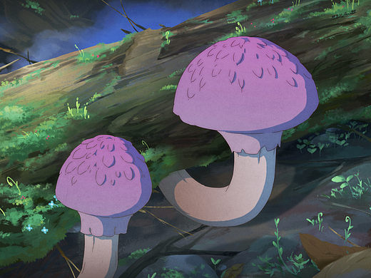【百菌志】之【粉紫小刺头菌】