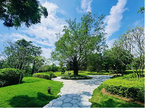 五缘水乡湿地公园：鹭岛的生态绮梦，都市的心灵桃源