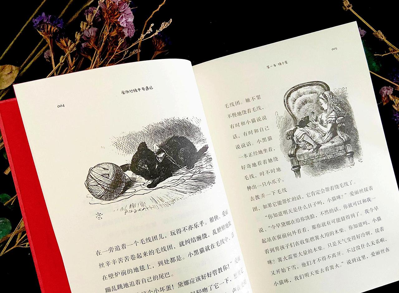 《爱丽丝梦中冒险记》|书籍策划总结