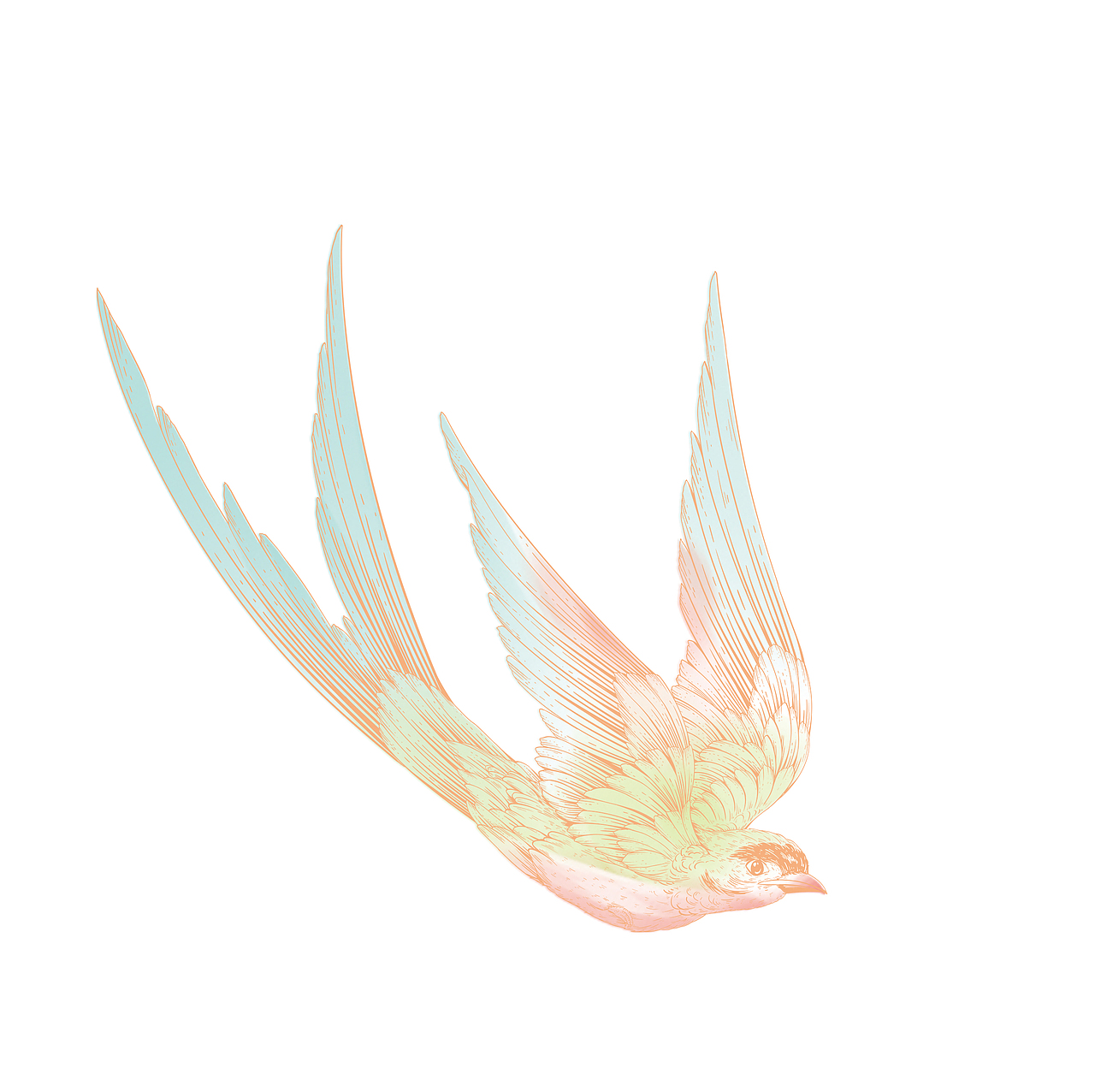 端午插画（图ZMzgyMjE3MDY4） - 商业插画 - 站酷设计师Amya_爱吃荔枝原创素材 - 站酷ZCOOL