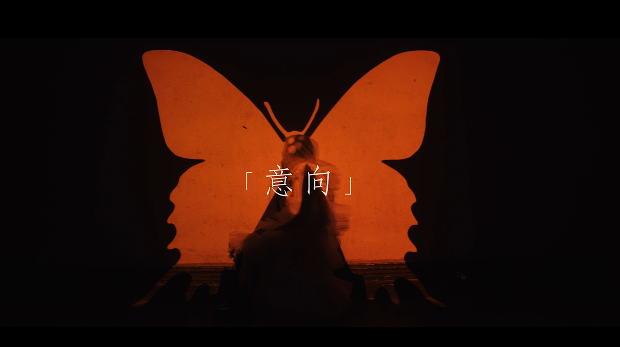 YANAG时装片（图ZMzgyMjIwOTQ4） - 影视后期 - 站酷设计师张玉ZHYU原创素材 - 站酷ZCOOL