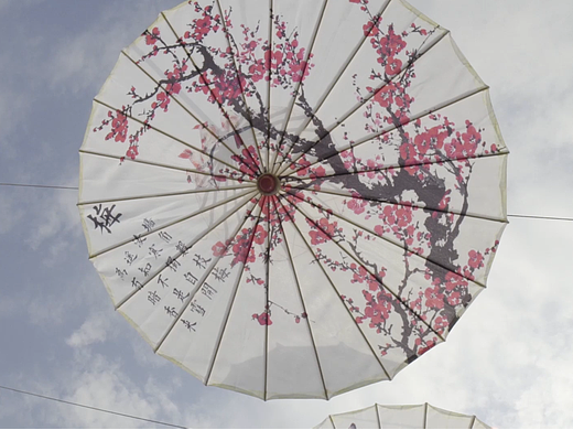 武夷山快节奏活动混剪