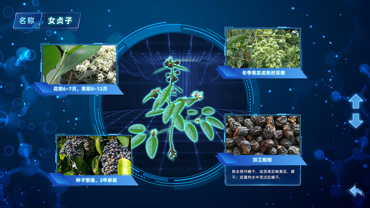 （10）科技馆-西安科技馆-硬核力量-多媒体展-界面设计（图ZMzgyMjM2NTY0） - 软件界面 - 站酷设计师陈泽旭原创素材 - 站酷ZCOOL