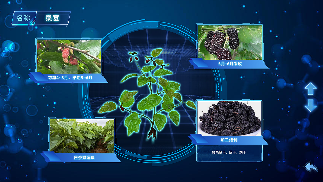 （10）科技馆-西安科技馆-硬核力量-多媒体展-界面设计（图ZMzgyMjM2NTcy） - 软件界面 - 站酷设计师陈泽旭原创素材 - 站酷ZCOOL