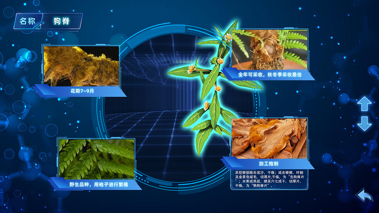 （10）科技馆-西安科技馆-硬核力量-多媒体展-界面设计（图ZMzgyMjM2NTk2） - 软件界面 - 站酷设计师陈泽旭原创素材 - 站酷ZCOOL