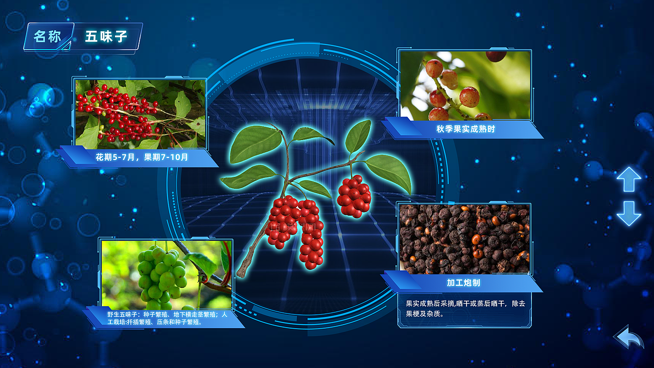 （10）科技馆-西安科技馆-硬核力量-多媒体展-界面设计（图ZMzgyMjM2NjI4） - 软件界面 - 站酷设计师陈泽旭原创素材 - 站酷ZCOOL