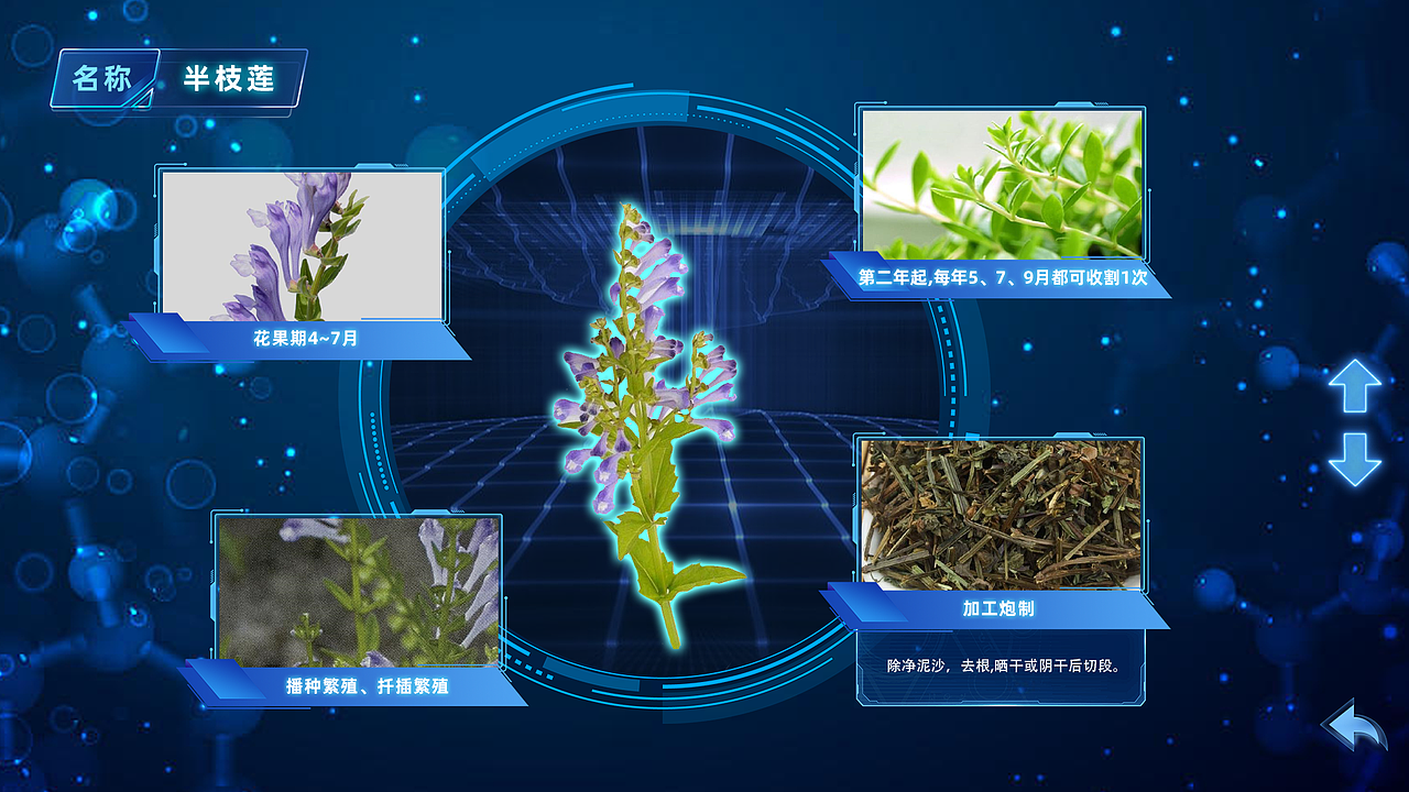 （10）科技馆-西安科技馆-硬核力量-多媒体展-界面设计（图ZMzgyMjM2NjYw） - 软件界面 - 站酷设计师陈泽旭原创素材 - 站酷ZCOOL