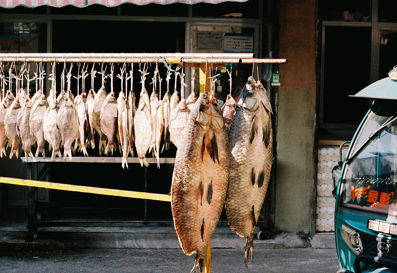 阳光灿烂的日子