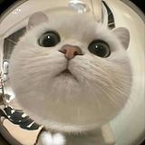 kunkun爱打篮球的头像
