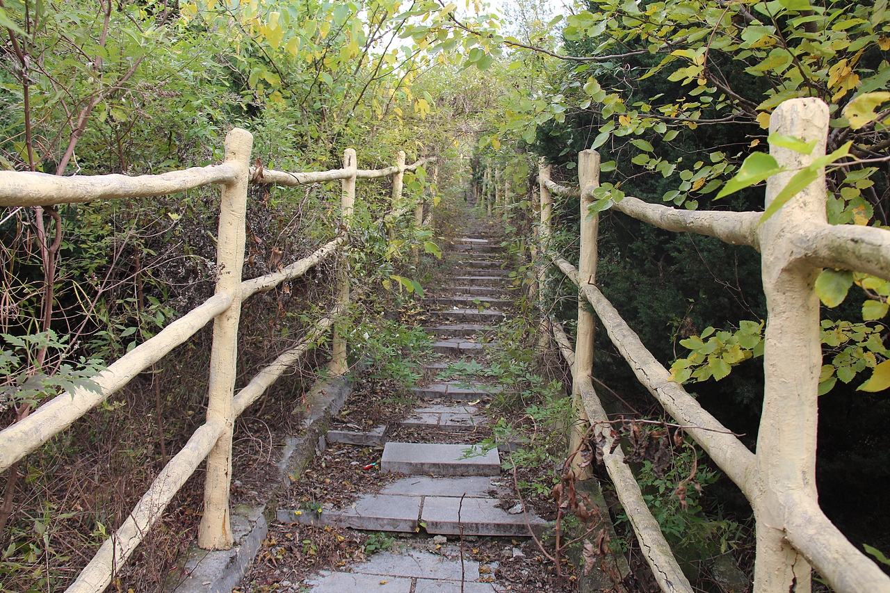 始祖黄帝，肇始苴茨