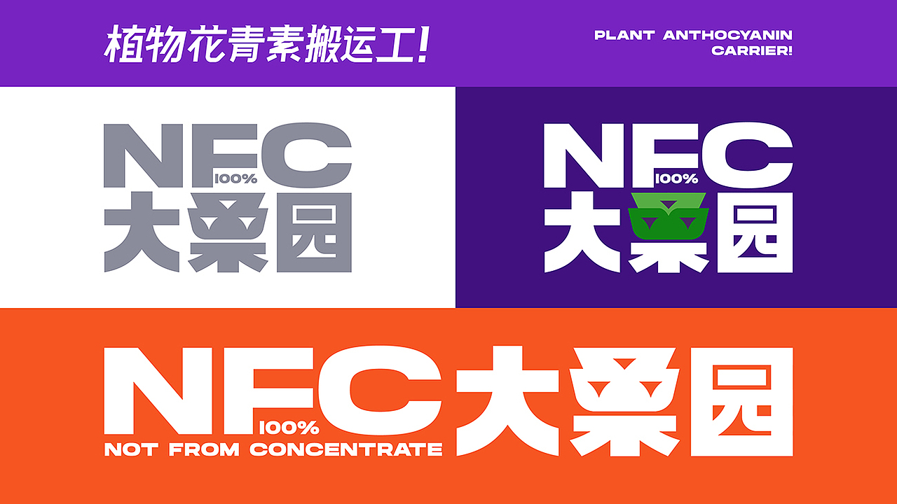 大桑园-产品打造