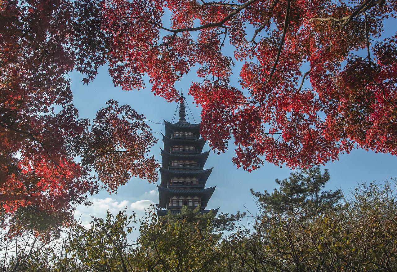 【冬日. 秋色满园】