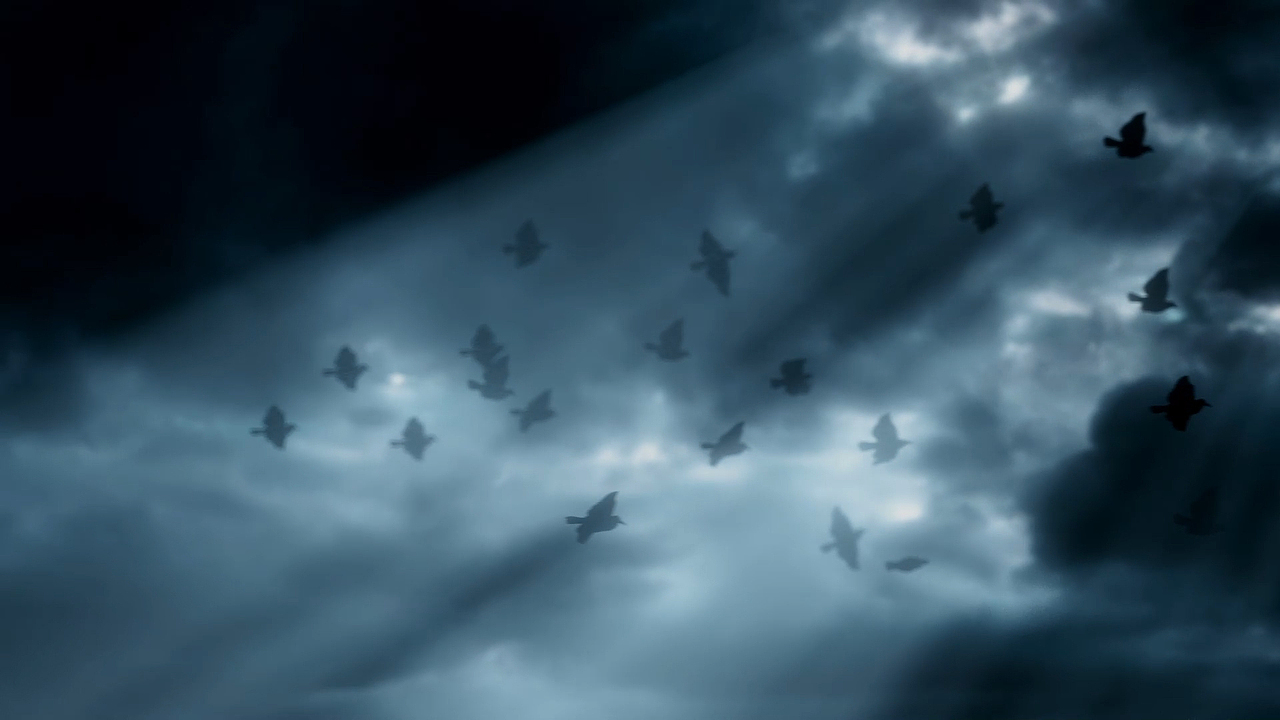 C4D动态学员不傲夜-一加手机动态临摹