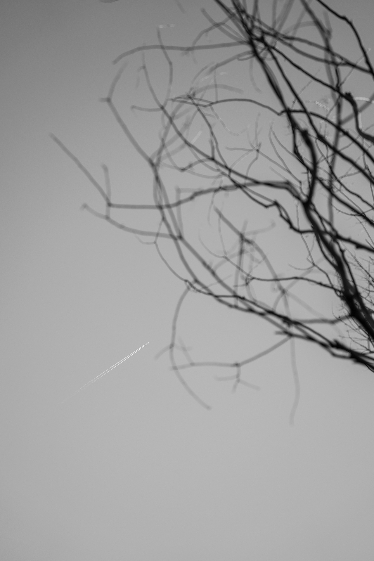 十一月（圖ZMzgyMzIwMDQ0） - 風(fēng)光攝影 - 站酷設(shè)計(jì)師蕭關(guān)麥客原創(chuàng)素材 - 站酷ZCOOL