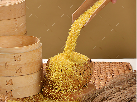 五谷杂粮小米拍摄|电商产品摄影|薏仁拍照×郑州密斯杨