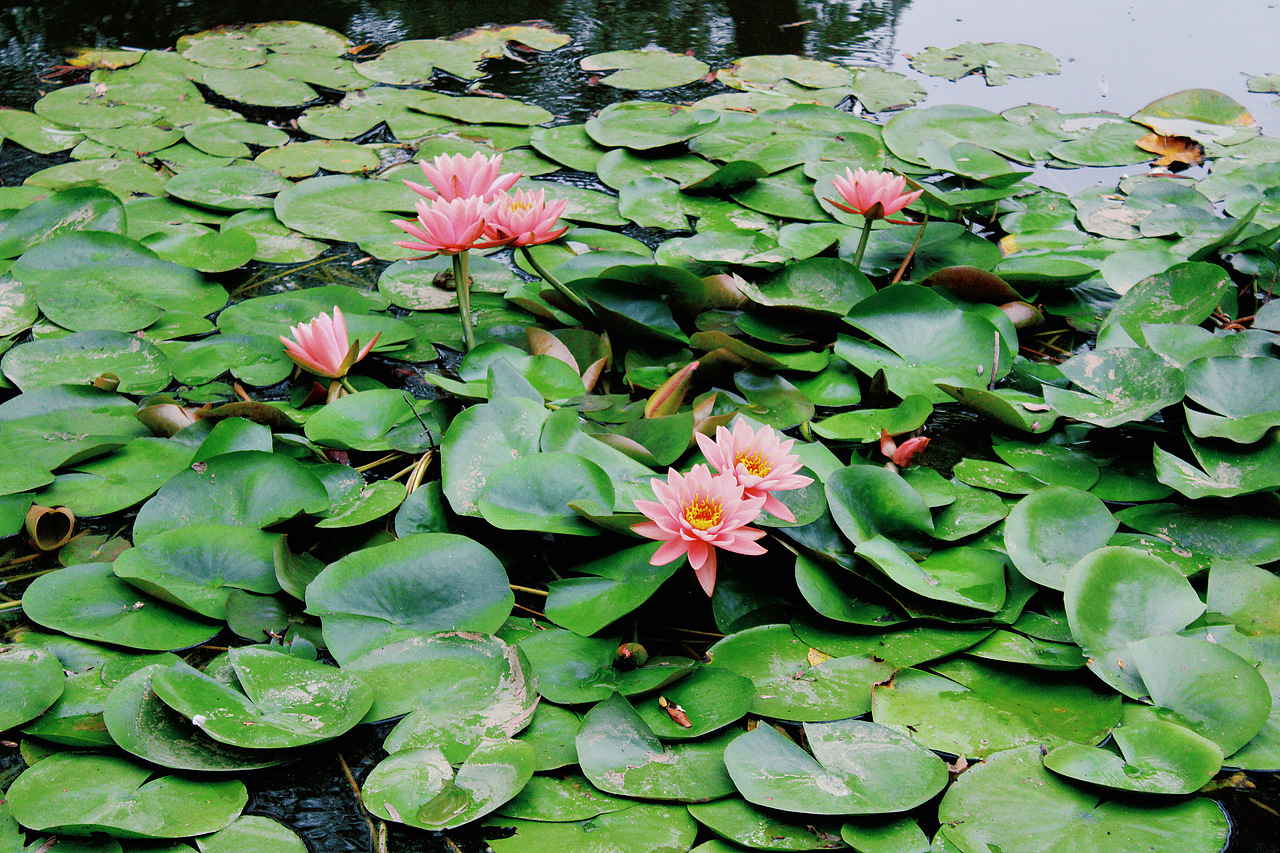 摄影后期调色（图ZMzgyMzM1NzI0） - 风光摄影 - 站酷设计师大大大怪超人原创素材 - 站酷ZCOOL