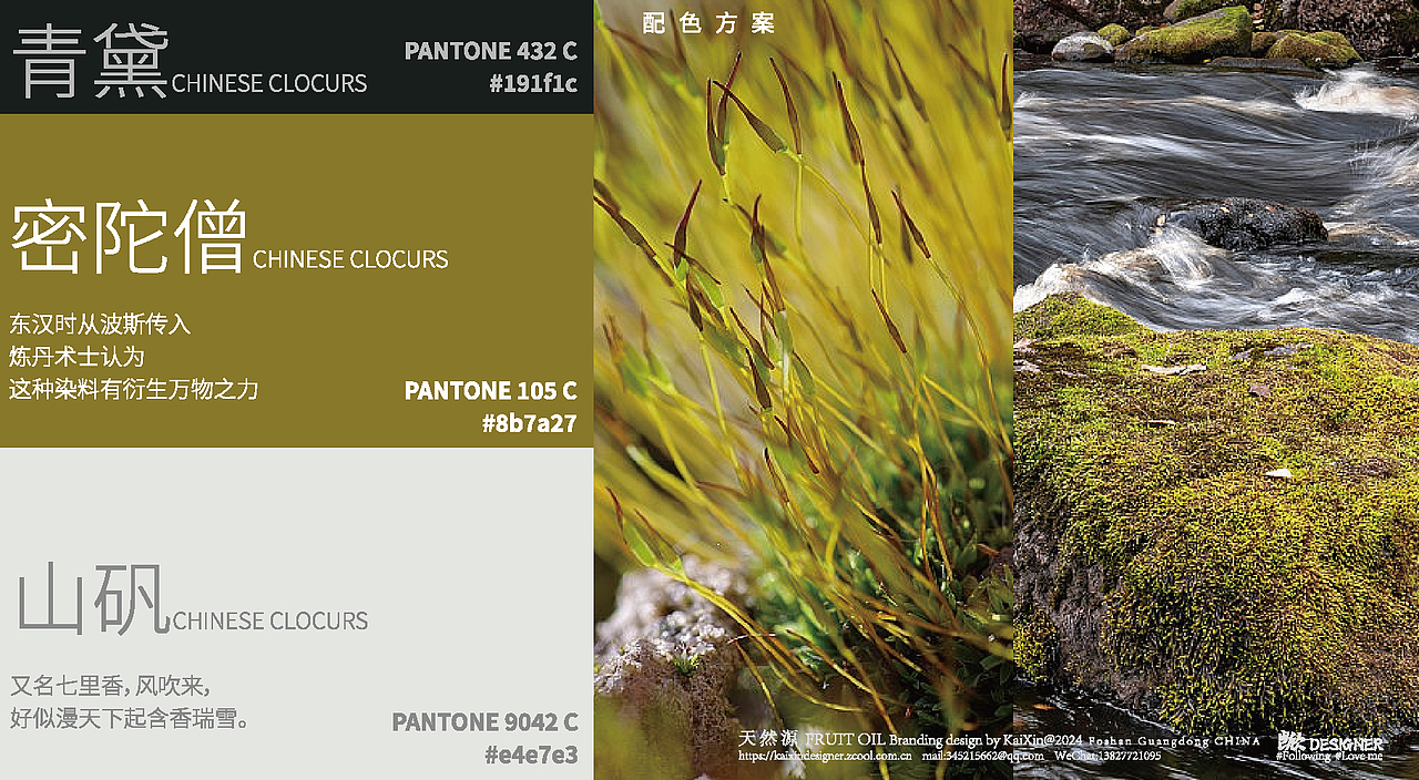 茶油品牌视觉（图ZMzgyMzQ0MzY4） - 品牌 - 站酷设计师KaiXin凯欣原创素材 - 站酷ZCOOL