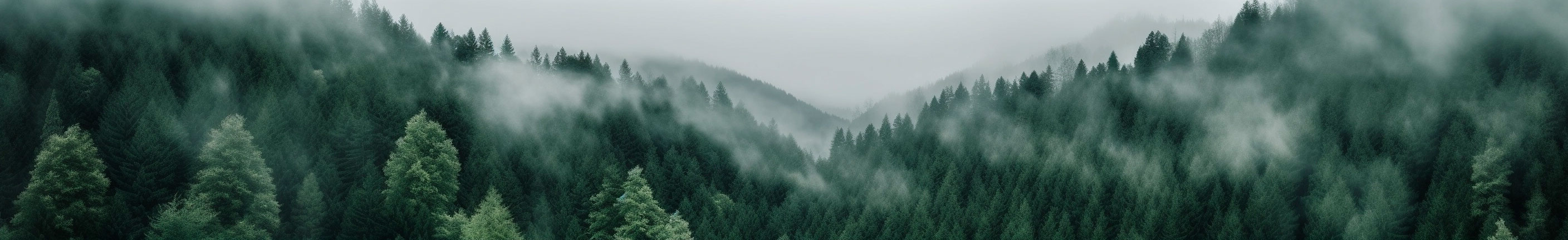 清清在心的个人主页（封面预览） - 主页封面设置 - 站酷设计师清清在心原创素材 - 站酷ZCOOL