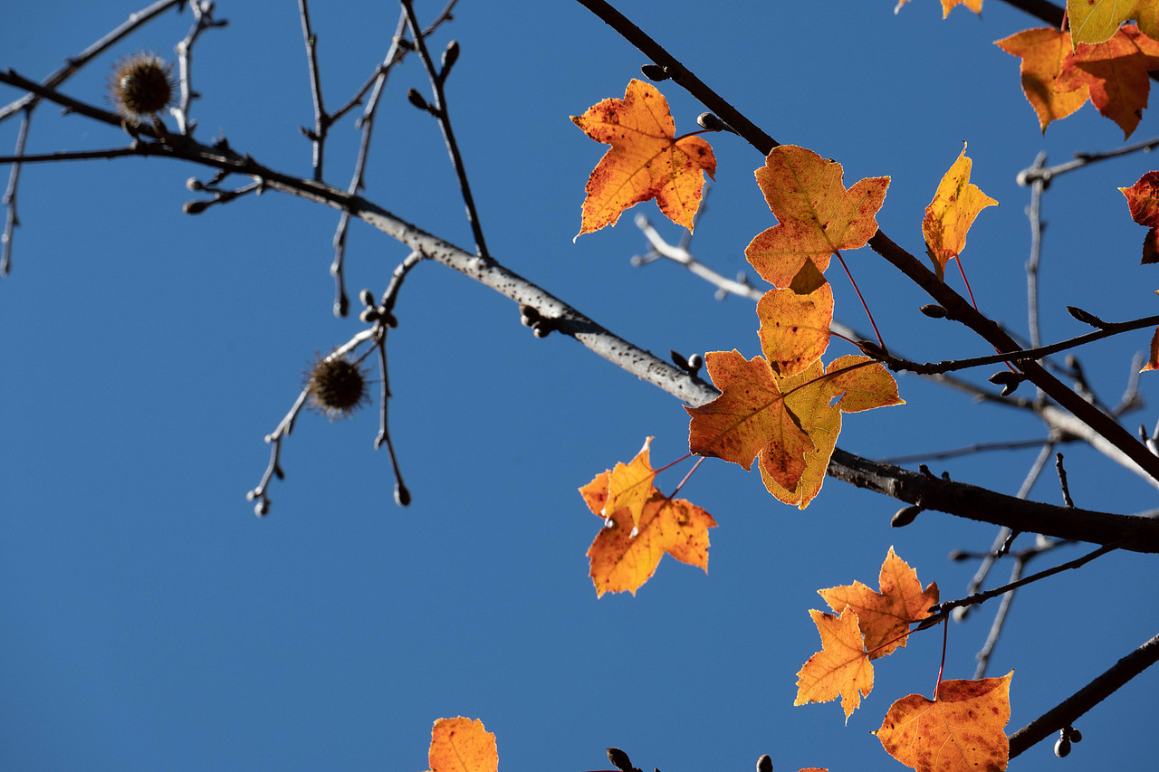 纪我的第一次“摄影”（图ZMzgyNDAwMDgw） - 风光摄影 - 站酷设计师Loren丶原创素材 - 站酷ZCOOL