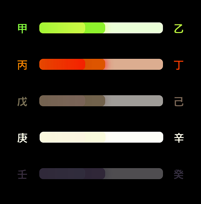 Z916 Exchangementale Fitness Set