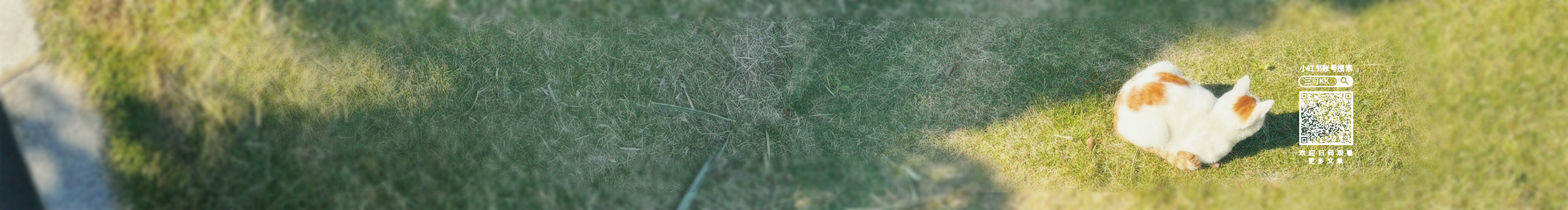 三可kk的个人主页（封面预览） - 主页封面设置 - 站酷设计师三可kk原创素材 - 站酷ZCOOL