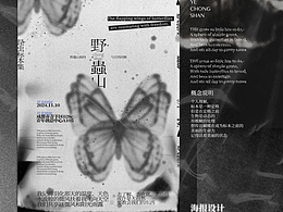 近期海报分享|昆虫标本店