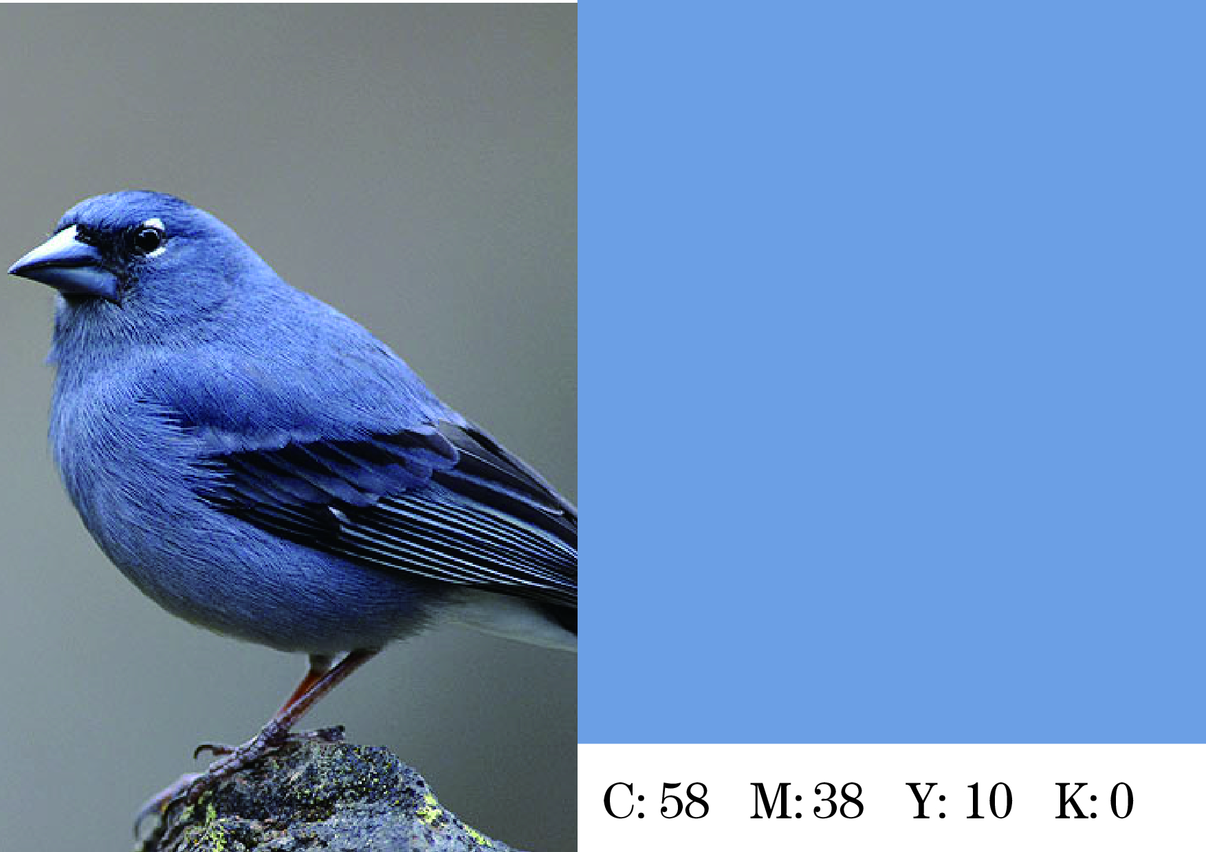 何谓色彩美学?何谓色彩通识?何谓中国颜色?(三)（图ZMTQ5ODA5MTI=） - 书籍 - 站酷设计师钟意创作原创素材 - 站酷ZCOOL