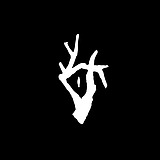 LOOKLUKDESIGN的头像