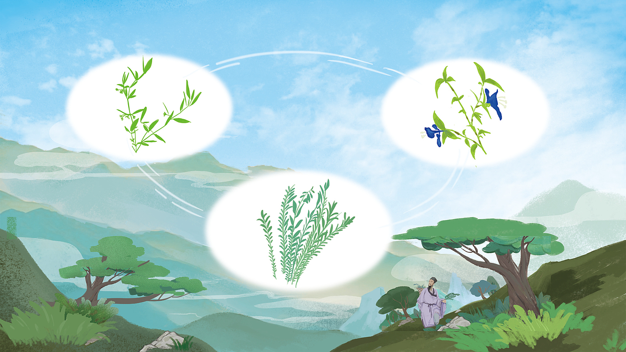 给一款中成药的配图